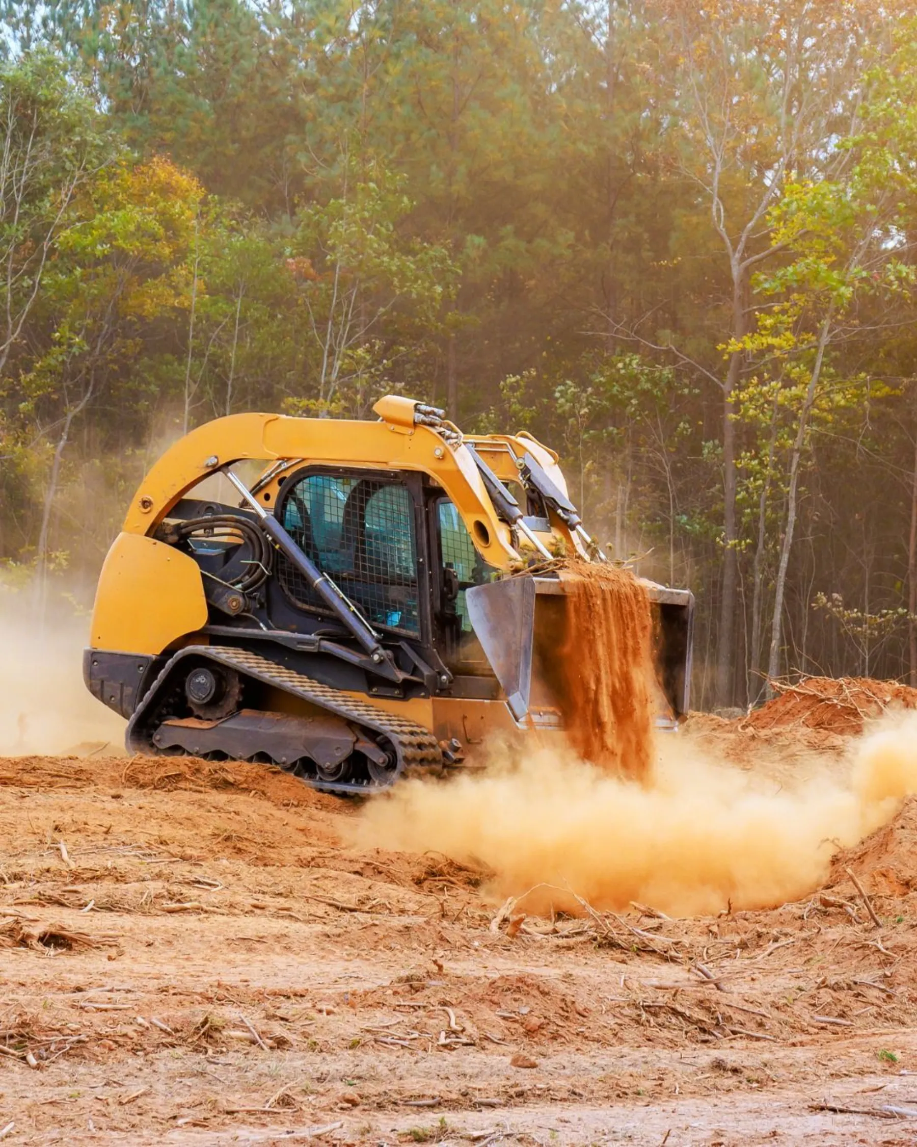 Forestry mulcher clearing land and undergrowth on a Northshore property