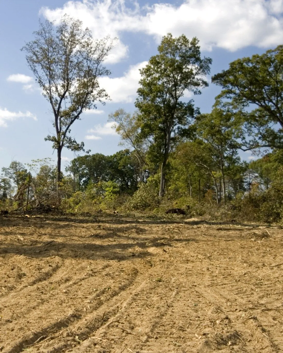 Cleared and graded land ready for new construction