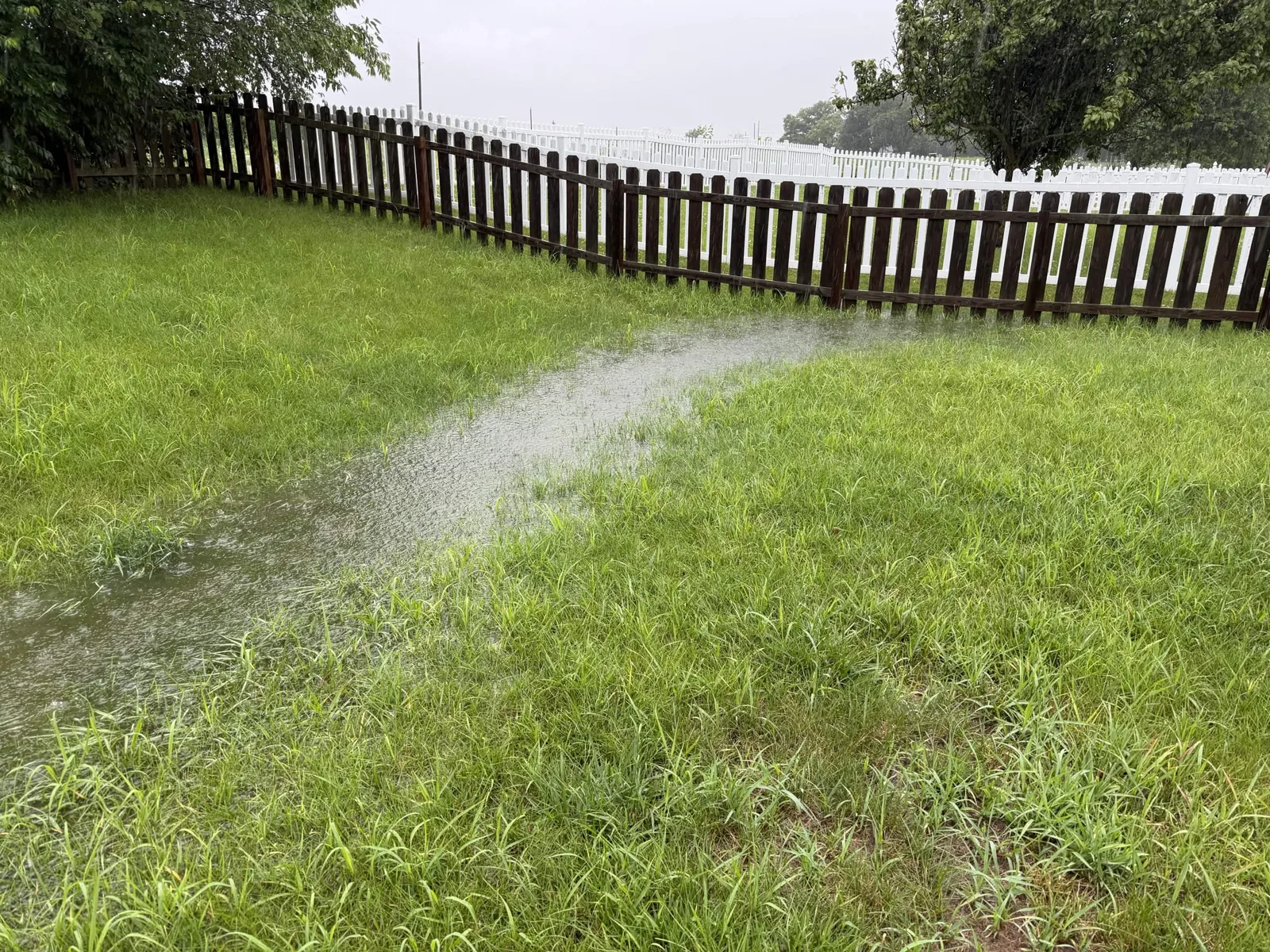 Standing water pooled across a backyard lawn along a wooden fence after heavy rain